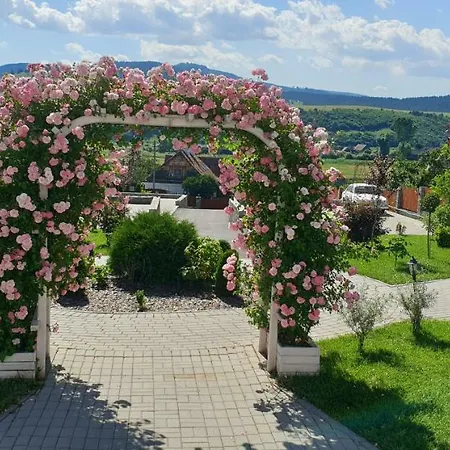 Magic Moments Bed & Breakfast Sincraieni